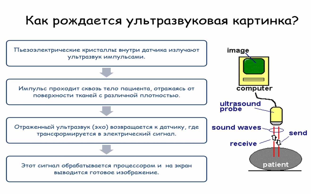 Диагностический ультразвук в специальности, кто владеет? - UZIPRO